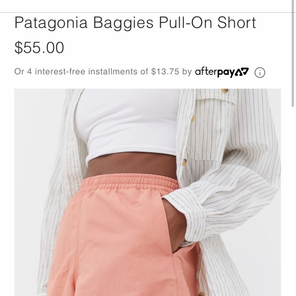 ISO urban outfitters/Patagonia baggies short